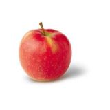плоды яблони сорта Мельба