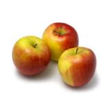 плоды яблони сорта Пепин шафранный