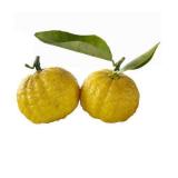 японский лимон