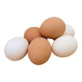 фото куриных яиц