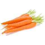 в чем заключается польза моркови