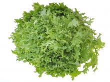 листовой салат